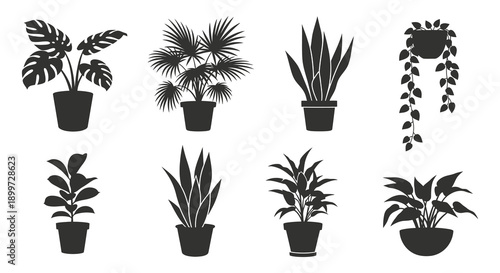 A collection of potted indoor plants in a minimalist style ideal for design projects on transparent background silhouette high quality professional