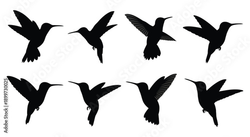 A collection of eight black hummingbird silhouettes in various flight poses on transparent background high quality professional detailed modern elegant stylish