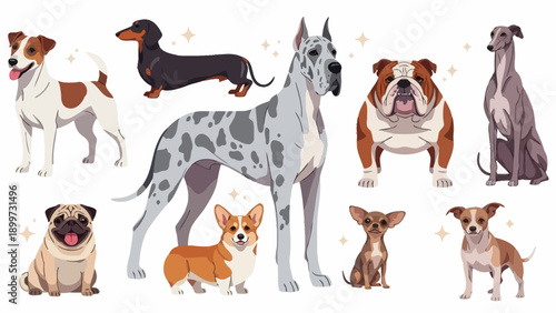 A Diverse Collection of Dog Breeds, Showcasing Various Sizes, Colors, and Characteristics of Canine Companions