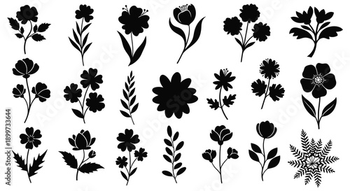A collection of various floral silhouettes in black showcasing delicate botanical shapes on transparent background high quality professional detailed modern elegant