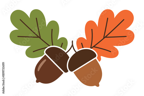 A colorful illustration of acorns and leaves on a white background