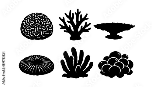 Coral and Seaweed Silhouettes Set of 6 - Black Vector Underwater Ocean Icons
