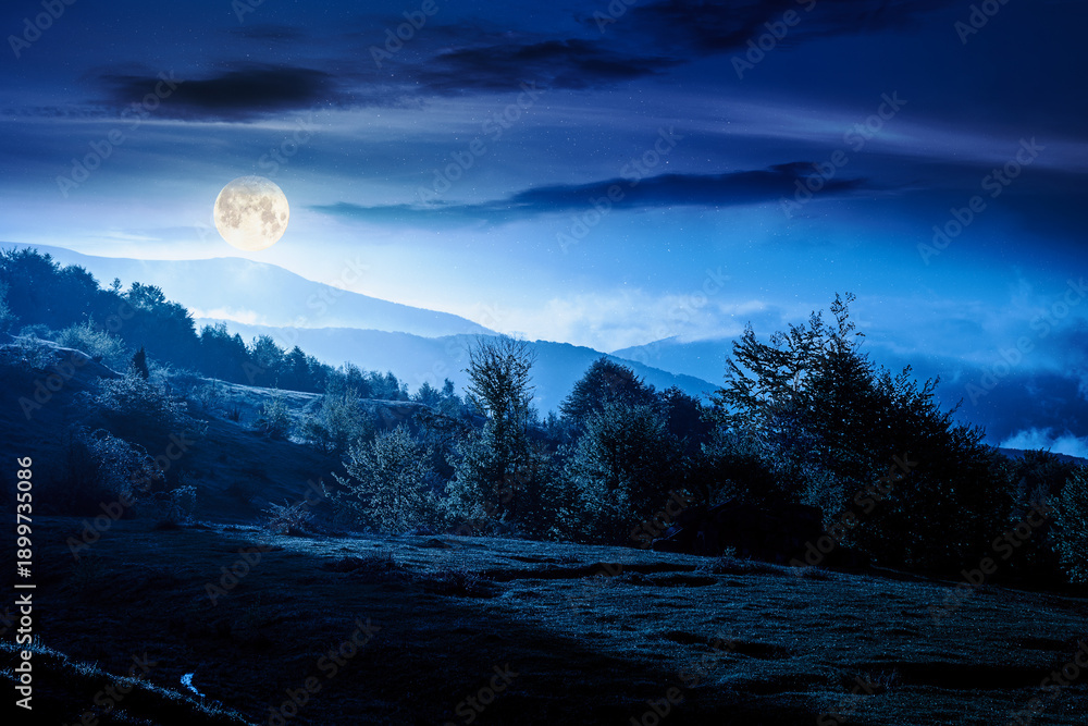 Fototapeta premium mountain landscape in fog at night. lush alpine meadows in spring in full moon light. beautiful view in to the valley. dark sky with clouds. backdrop for countryside fiction art or mystery concepts