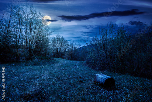 mountain landscape with green grass on a forest glade in spring at night. beautiful nature scenery with beech trees under dark sky in full moon light. strength to overcome fear, loneliness in darkness