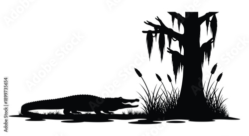 A striking black silhouette of an alligator resting near a cypress tree with spanish moss on transparent background high quality professional