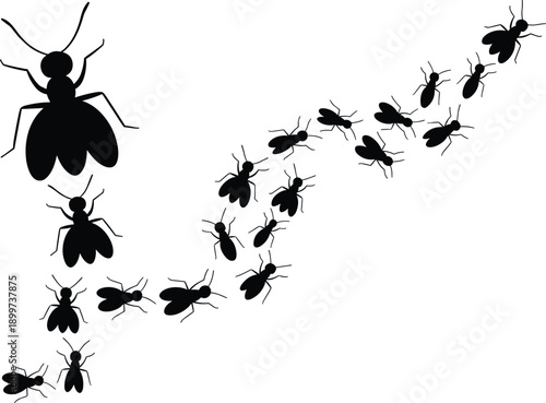 Black flying insect silhouettes vector illustration, swarm and size variation bugs isolated on white background, pest control concept, abstract wildlife and nature design elements