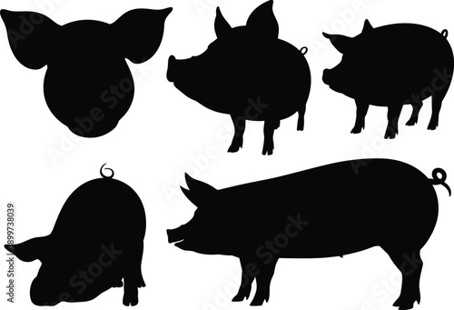 Black pig silhouettes set vector illustration, farm animal icons isolated on white background, livestock design collection, agricultural symbols, minimal animal shapes graphic