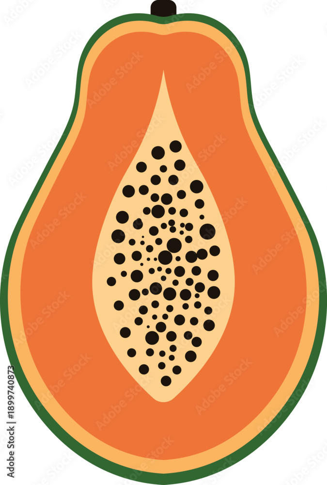 Fototapeta premium Cross Section of a Papaya with Seeds, Flat Design Illustration