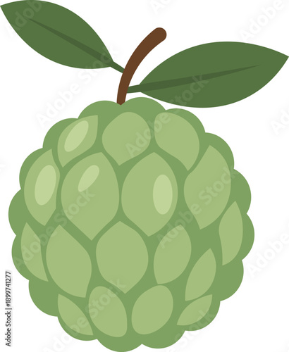 A whole custard apple with segmented green skin and two leaves, isolated on white, flat art