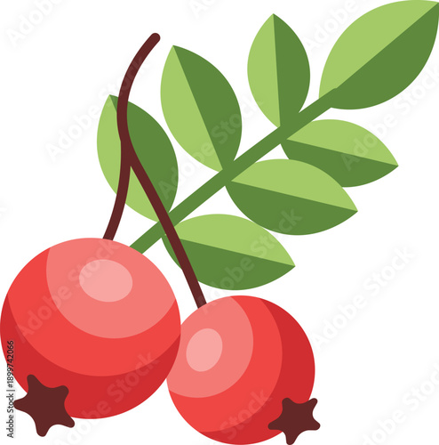 Two plump red rowan berries with green leaves on a branch, autumn fruit illustration, simple flat design
