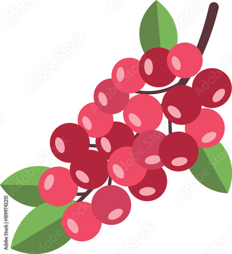 Cluster of red lingonberries with green leaves on a branch, healthy berries illustration, simple flat design