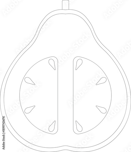 Outline illustration of a halved guava with seeds, isolated on a white background.