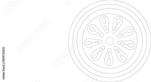 Outline illustration of a sliced orange or grapefruit, showing segments, isolated on white.