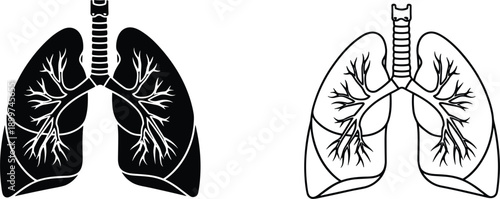Detailed human lungs anatomical illustration set featuring a solid black silhouette and a minimalist line art outline.