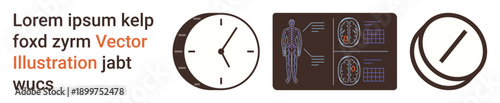 Time management, healthcare, anatomy, diagnostics, technology, analytical tools. Clock and human body scan with data charts. Time management and healthcare interpretation