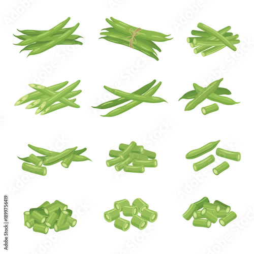 Fresh Green Beans Set – Whole and Cut String Beans Flat Vector Illustration