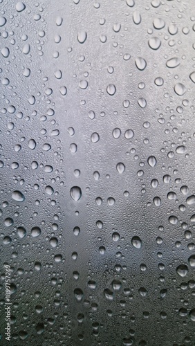 Wallpaper Mural Raindrops on Glass Window with blurred outdoor Background on a gloomy day Torontodigital.ca