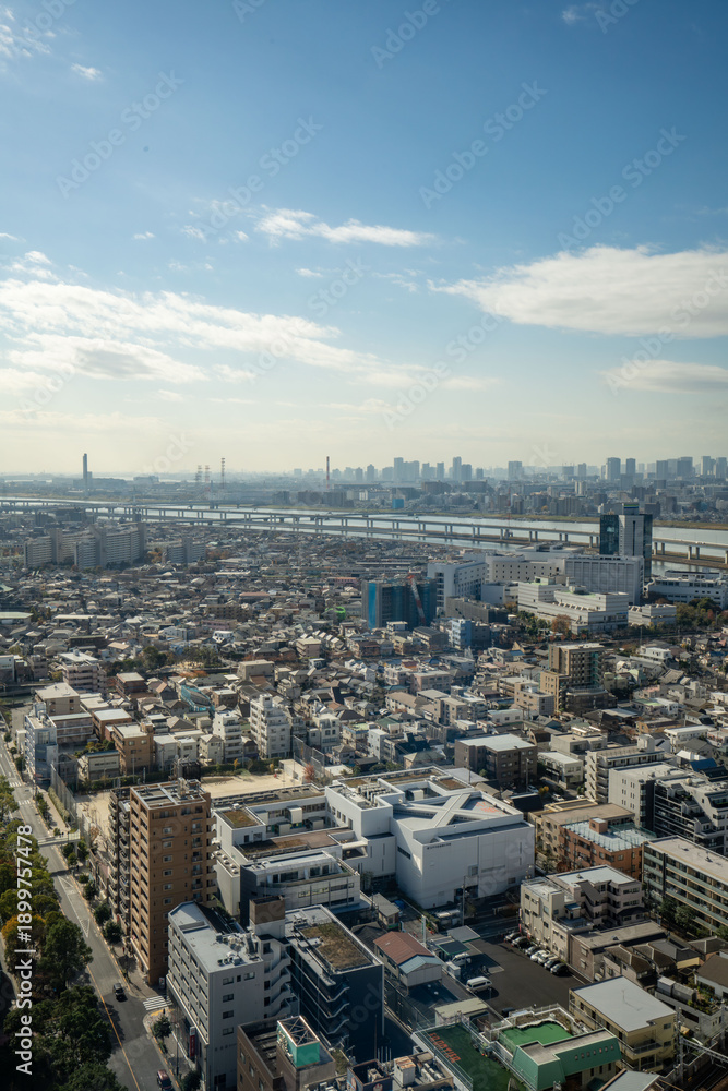Fototapeta premium 東京江戸川区の船堀タワーホールから江東区荒川方面の眺め