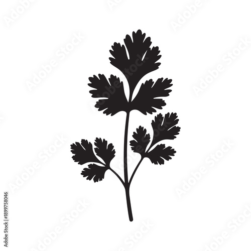 Black silhouette of a parsley plant