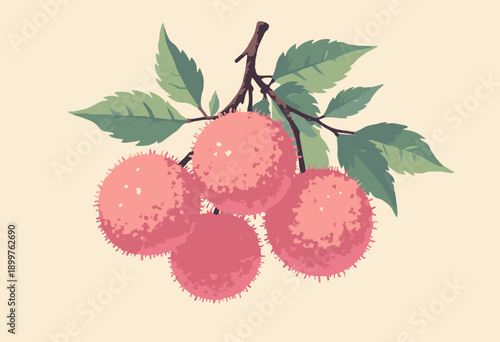 Lychee fruit cluster rough pink skin Minimalist