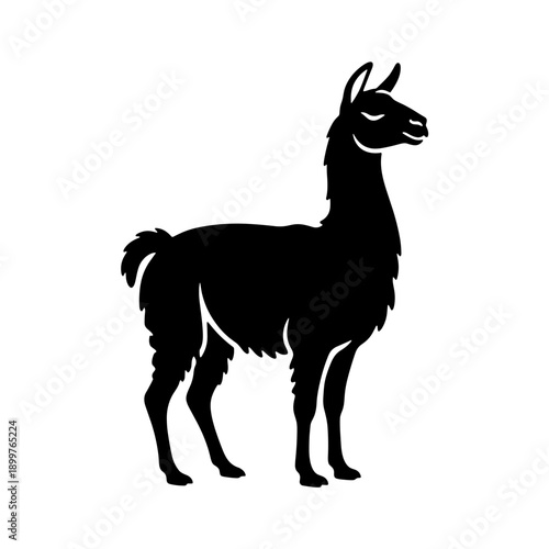 Black Llama Silhouette