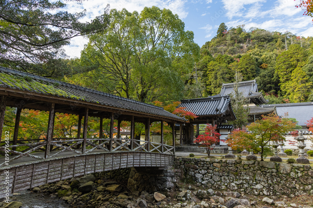 Fototapeta premium 日本 広島県三原市高坂町にある佛通寺の佛通寺川に架かる巨蟒橋と紅葉した木々