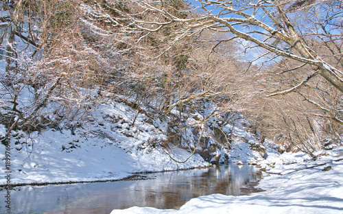 栃木県那須塩原市　冬の雪が積もる木の俣園地と木の俣川