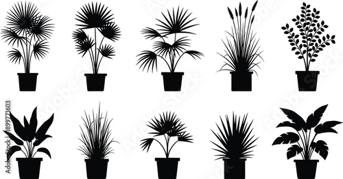 Indoor Potted Plant Silhouette Set Vector Illustration Featuring Houseplants, Palms, Grasses, and Decorative Foliage in Clean Black Monochrome Style