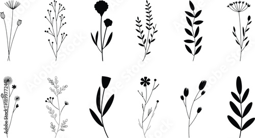 Minimalist Wildflower and Field Grass Silhouettes