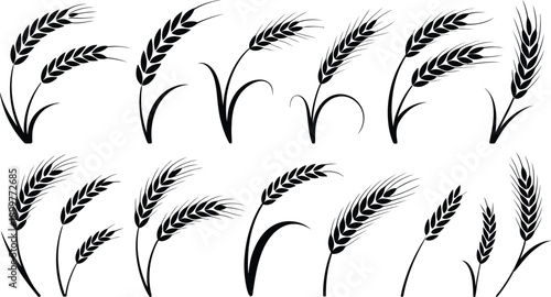 Premium Global Nature and Ornament Silhouette Mega-Bundle