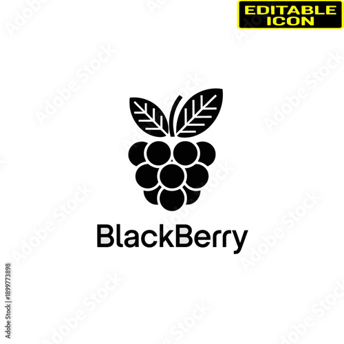 A detailed black and white illustration of a bunch of grapes with leaves Vector