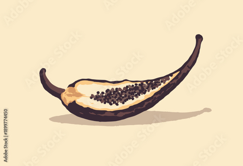 Vanilla Bean pod split open to show tiny black seeds Baking ingredient Flat