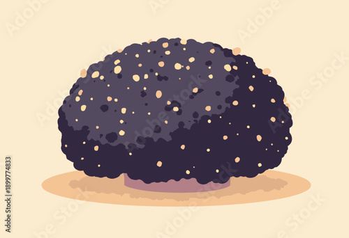 whole Black Truffle mushroom rough textured surface Luxury ingredient Flat