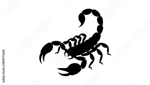 Dangerous scorpion silhouette with stinger vector icon