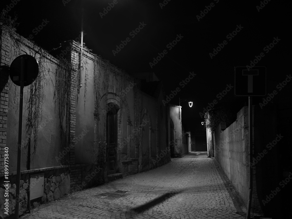 Fototapeta premium Notturno