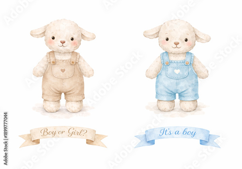 Watercolour illustration of a baby shower Invitation with lettering