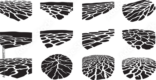 Cracked earth textures in black and white illustrations set