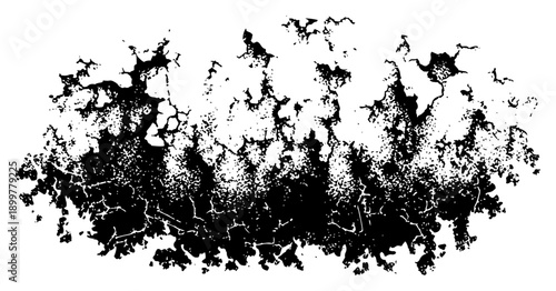 Heavy black ink splash with highly detailed grunge texture and irregular splattered edges