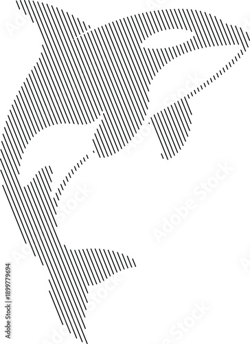 Orca killer whale outline with diagonal stripes, Whale line art illustration