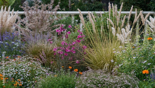 Colorful Flowers and Plants Growing in a Garden During the Daytime