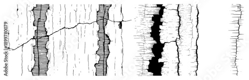 Hand drawn ink texture of vertical wood bark cracks with vintage hatching details