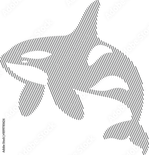 Orca killer whale silhouette with diagonal lines, Minimal marine mammal artwork