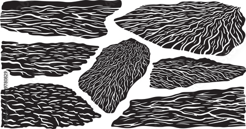 Black and white abstract shapes with wavy line patterns