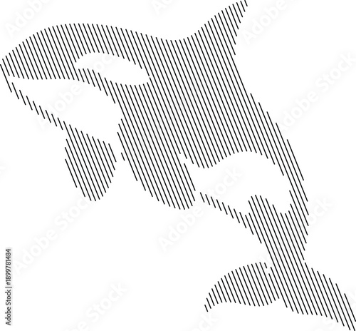 Orca whale silhouette formed by diagonal lines, Marine mammal line art