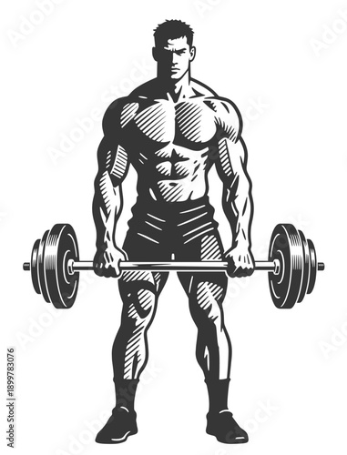 Black and white vector illustration of a muscular bodybuilder performing heavy barbell deadlift