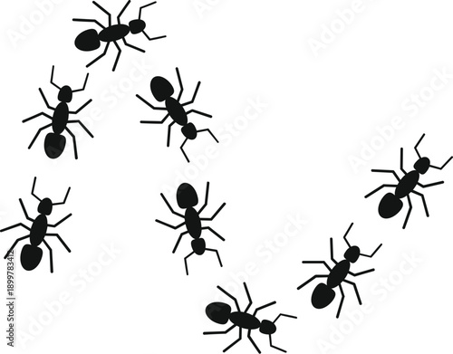 Line of black ant silhouettes marching along following a path on a white background