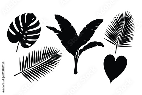 Tropical Leaf Silhouettes and Heart Icon Set
