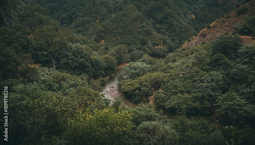 Mountains and River Landscape With Flowers Under Cloudy Sky Near a Valley
