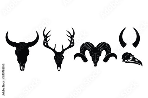 Animal Skull Silhouettes: Wildlife and Horns
