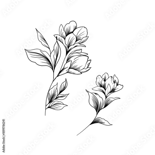 Hand drawn flowers , line-art on white background. Idea for a tattoo sketch, ...